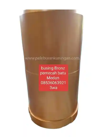 Bushing Bronze PYB 900
